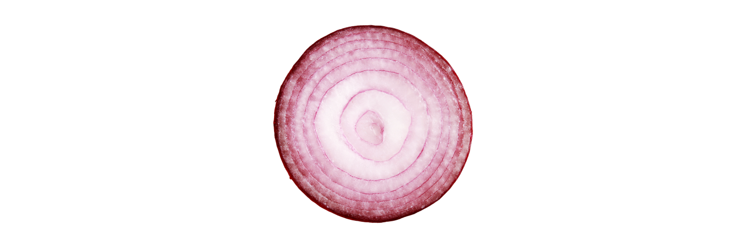 An onion slice