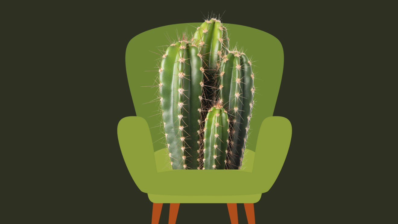 The eight discomforts of being a therapist