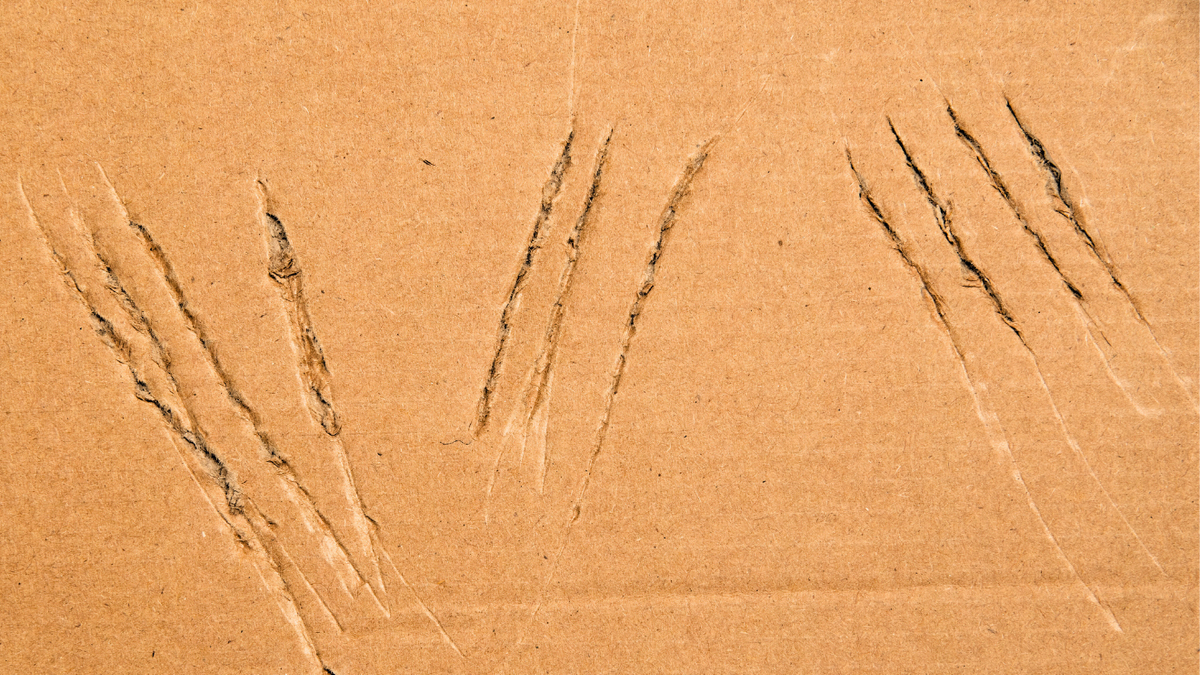 What my maddening itch taught me