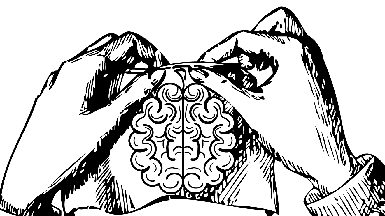 A black and white charcoal drawing of two hands knitting a design of the human brain