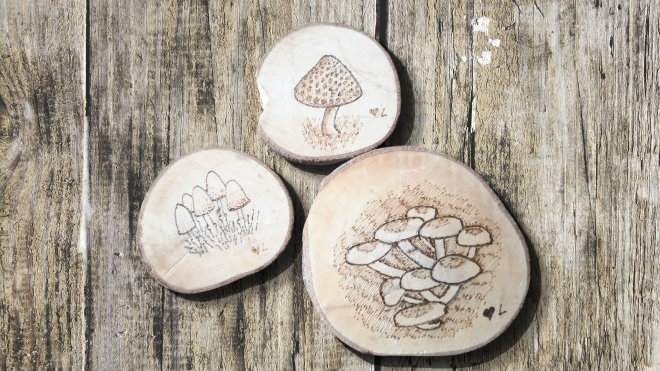 Mushroom drawings on pieces of wood by Lorraine Lysen. (I had to edit the background here for weird tech-y reasons.)