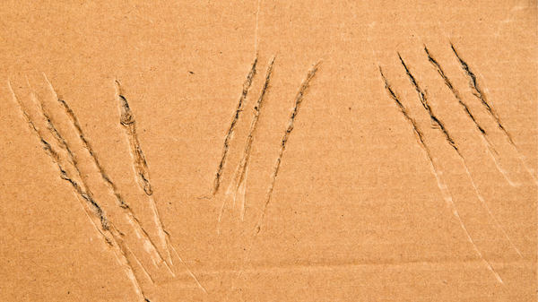 What my maddening itch taught me