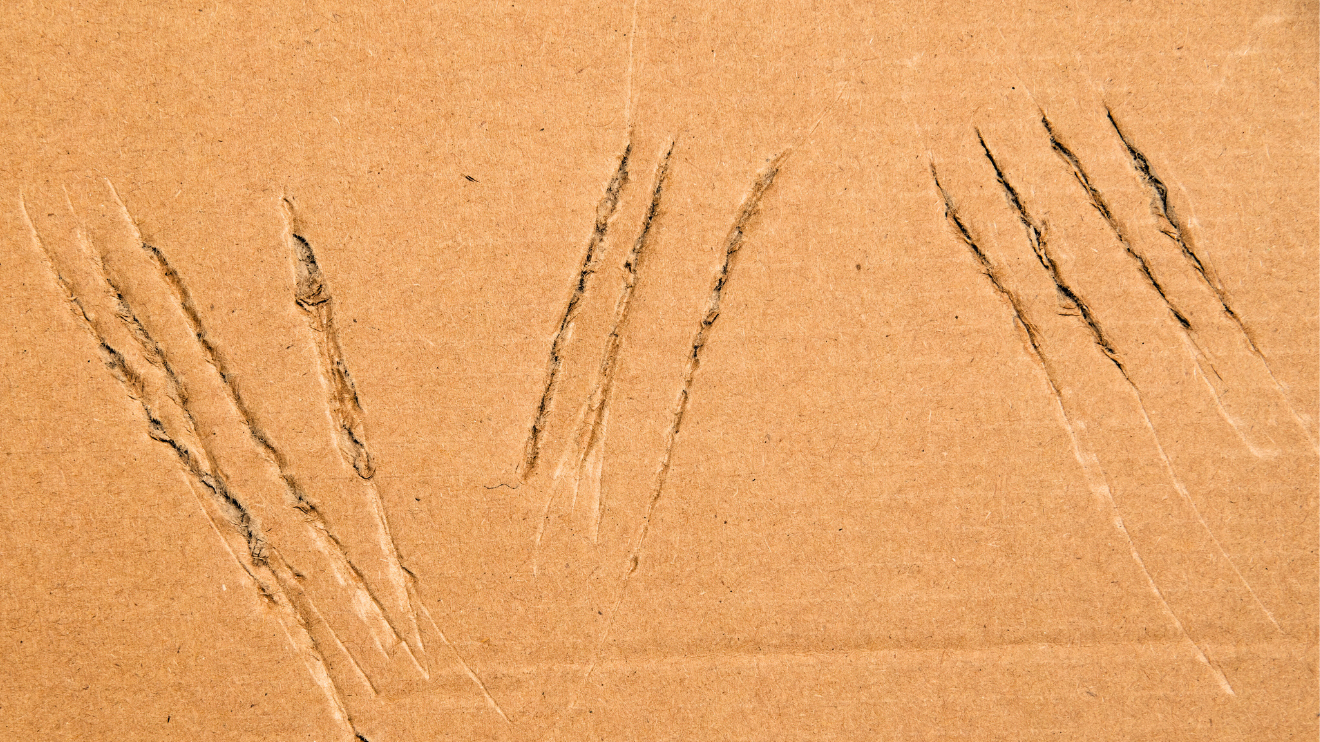 What my maddening itch taught me